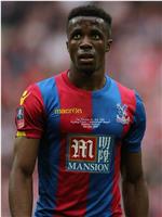 维尔弗里德·扎哈 Wilfried Zaha