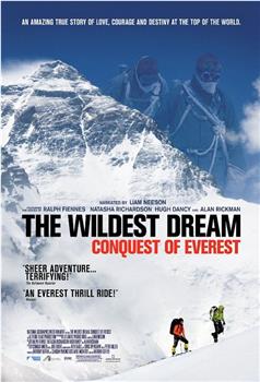 最狂野的梦想：征服珠峰在线观看和下载