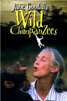 珍古德的野生黑猩猩在线观看和下载