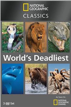 世界致命动物系列：中美洲篇在线观看和下载
