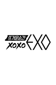 火热的瞬间XOXO EXO在线观看和下载