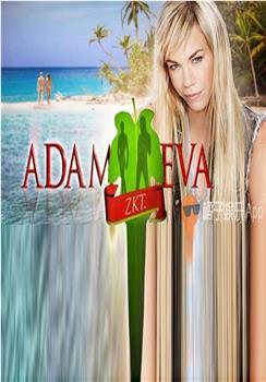 亚当找夏娃 第一季在线观看和下载