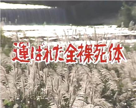 混浴岩風呂連続殺人・にせ夫婦東北ツアー 運ばれた全裸死体在线观看和下载