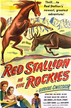 Red Stallion in the Rockies在线观看和下载