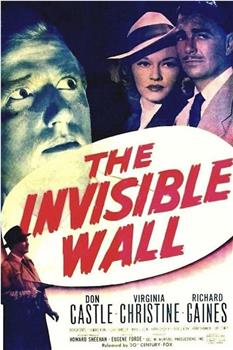 The Invisible Wall在线观看和下载