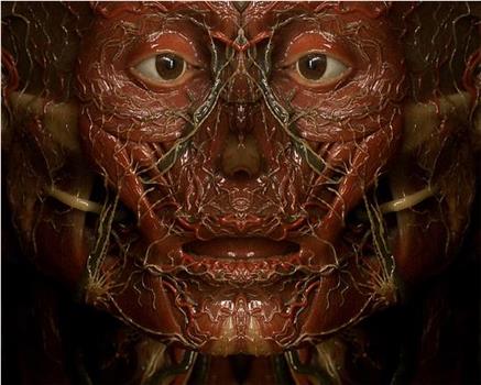 Petite anatomie de l'image在线观看和下载