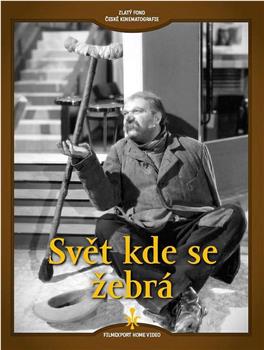 Svet kde se zebrá在线观看和下载