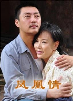 凤凰情在线观看和下载
