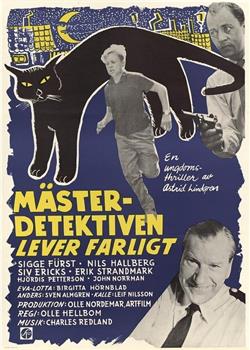 Mästerdetektiven lever farligt在线观看和下载