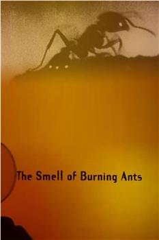 The Smell of Burning Ants在线观看和下载