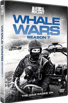 鲸鱼大战 第七季在线观看和下载