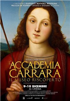 L'Accademia Carrara - Il museo riscoperto在线观看和下载