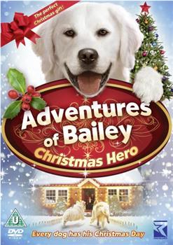 Adventures of Bailey: Christmas Hero在线观看和下载