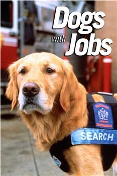 Dogs with Jobs在线观看和下载