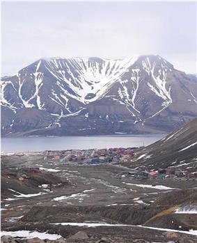 冰与火之歌-北极博物学科考全记录在线观看和下载