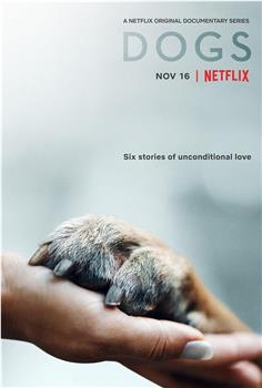 爱犬情深 第一季在线观看和下载
