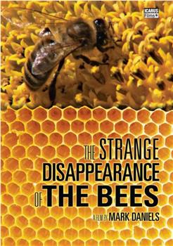 蜜蜂的消失之谜在线观看和下载