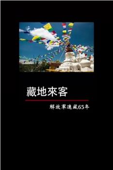 藏地来客——解放军进藏65年在线观看和下载