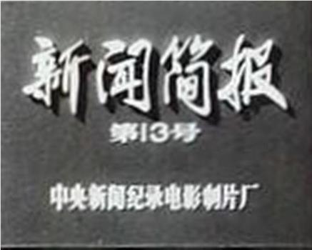 新闻简报1972年第13号在线观看和下载