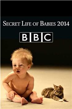 婴儿的秘密生活在线观看和下载