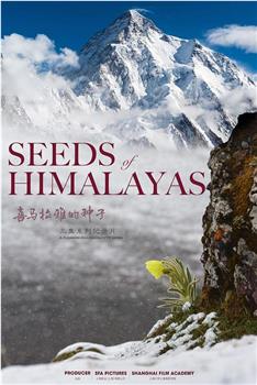 喜马拉雅的种子在线观看和下载