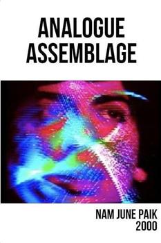 Analogue Assemblage在线观看和下载