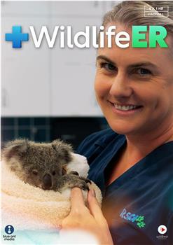 Wildlife ER Season 2在线观看和下载