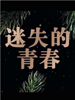 迷失的青春在线观看和下载