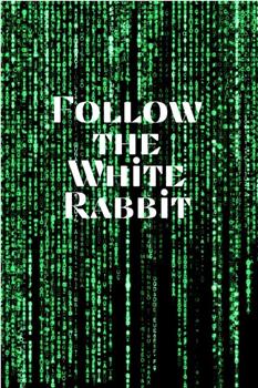 The Matrix: Follow the White Rabbit在线观看和下载