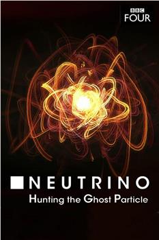 Neutrino: Hunting the Ghost Particle在线观看和下载