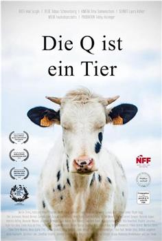 Die Q ist ein Tier在线观看和下载