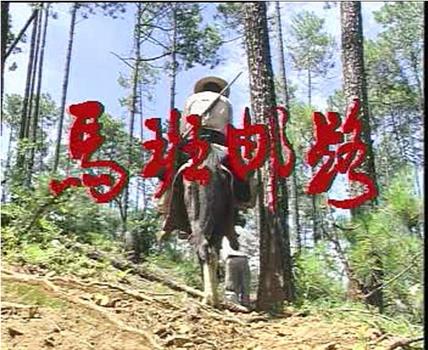泸沽湖旧事：马班邮路在线观看和下载