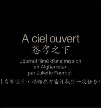 苍穹之下在线观看和下载