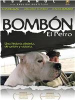 El perro