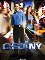 犯罪现场调查：纽约 第八季