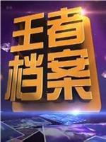 王者档案