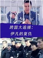 跨国大追捕：伊凡的复仇