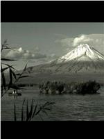 Ararat: 14 Views