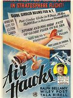 Air Hawks