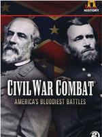内战中的战斗：美国的血腥战役