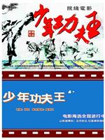 少年功夫王