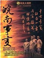 凤凰大视野：同室操戈——皖南事变解密