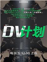 DV计划