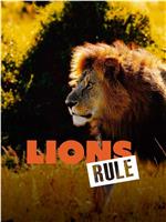 狮子法则