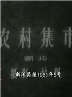 新闻简报1961年第5号：农村集市