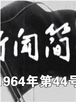 新闻简报1964年第44号