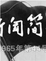 新闻简报1965年第44号