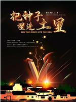 把种子埋进土里