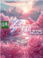 乘风2025