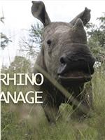 The Rhino Orphanage